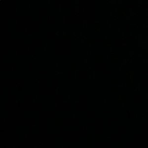 Meet your Posher, Dylan